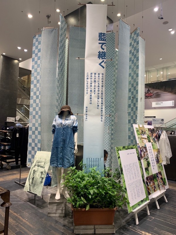 新宿産の藍の種お配りしております～MUJI新宿で販売されている「新宿染」